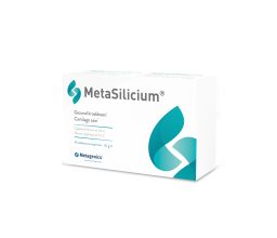 MetaSilicium
